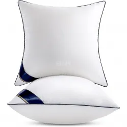 Throw Pillows Insert (Pack of 2, White) - 18 x 18 Inches Bed and Couch Pillows