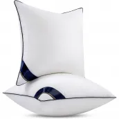 Throw Pillows Insert (Pack of 2, White) - 18 x 18 Inches Bed and Couch Pillows