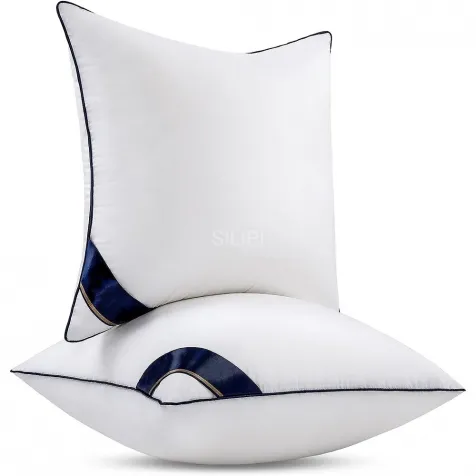 Throw Pillows Insert (Pack of 2, White) - 18 x 18 Inches Bed and Couch Pillows